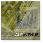 ALPAVENUE Collage 3